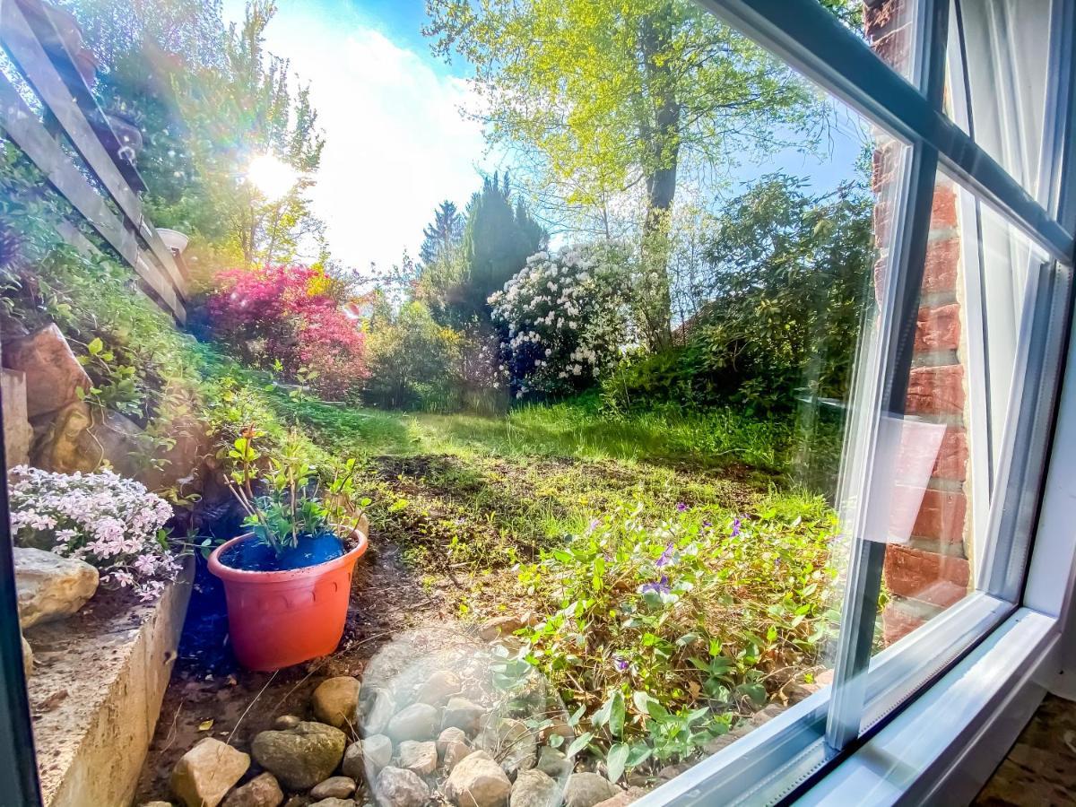Ferienwohnung Im Sachsenwald Dassendorf 외부 사진